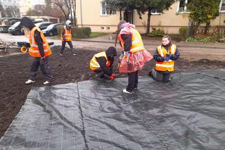 Olsztyn pięknieje. Powstaje kolejna zielona przestrzeń [ZDJĘCIA]