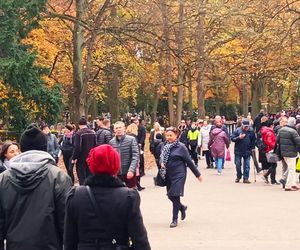 1 listopada na Cmentarzu Centralnym w Szczecinie