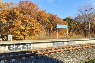 W tych miejscowościach ubywa mieszkańców. Na Pomorzu niechlubny rekord bije kilka miejscowości