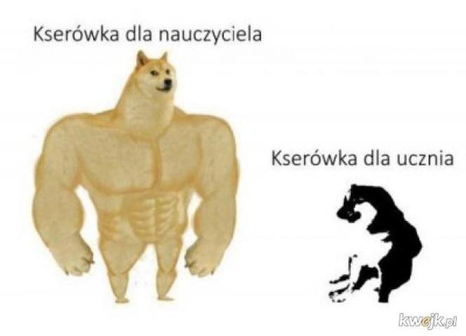kwejk