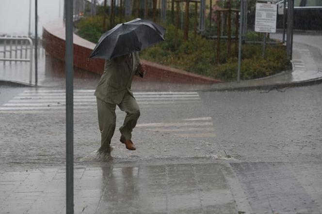 Sposoby na ograniczanie podtopień w Gdańsku