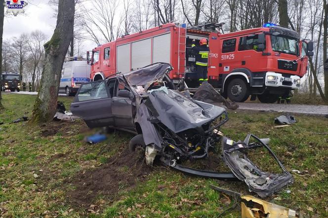 Zjechał z drogi i uderzył w drzewo