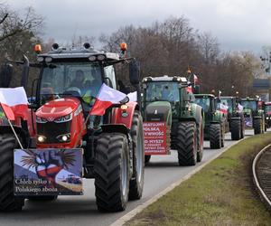 Protesty rolników na Pomorzu. Utrudnienia na S7 i drogach lokalnych [GALERIA]