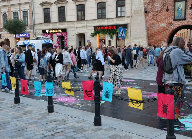 Tak było podczas lubelskiej Nocy Kultury 2025
