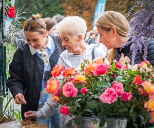 Wielki piknik kwietny finał 41. edycji konkursu „Warszawa w kwiatach”