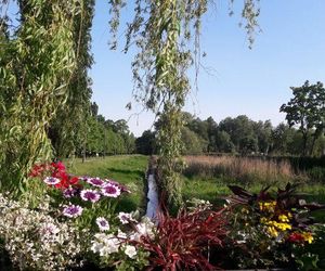 Nowa atrakcja turystyczna w Łódzkiem. Bulwary nad Dobrzynką mają rozkwitnąć na nowo