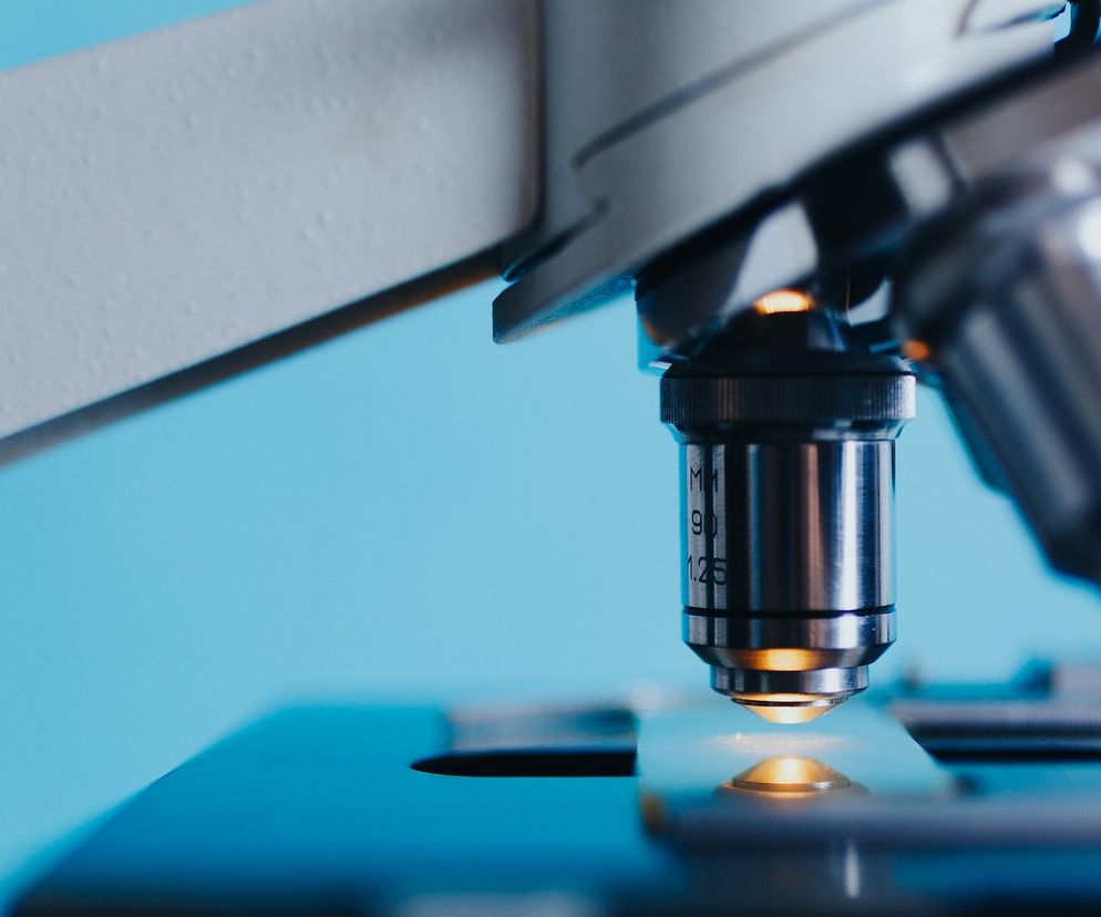 Kto zabił Jana Kowalskiego i czy bakterie lubią towarzystwo? Noc Biologów 2021 w Toruniu