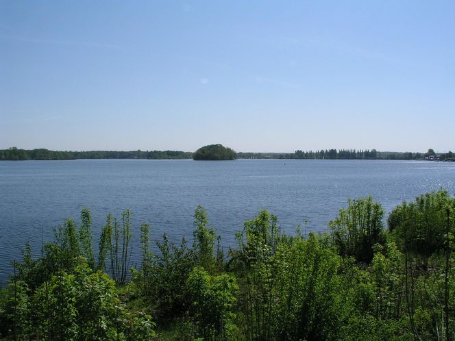 Dzierżno Małe to ukryta leśna perła