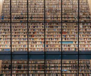 Biblioteka Narodowa Łotwy w Rydze - byliśmy w środku. Zobacz zdjęcia budynku w kształcie góry