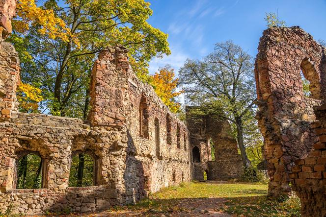 Zawalił się fragment muru przy Zamku Książ w Wałbrzychu