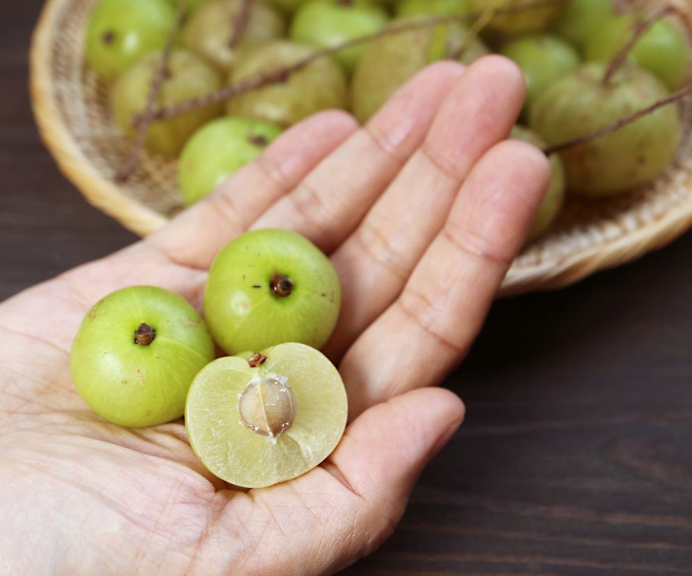 Spala tłuszcz na brzuchu, wspiera nerki, dba o włosy. Cudowna jagoda to samo zdrowie