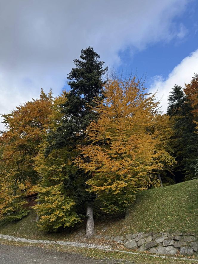 Szczyrk na jesiennych zdjęciach