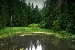 To uzdrowisko znów będzie turystycznym hitem lata. Jakie atrakcje warto zobaczyć w Muszynie? 