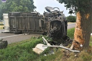 Tragiczny wypadek na DK-17 w woj. lubelskim. Zmarł pasażer i padł koń