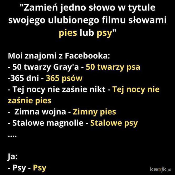 Dzień Psa 2026. Te memy pisało samo życie!
