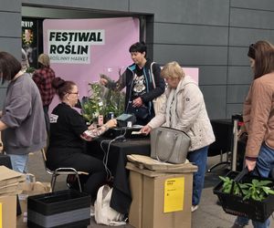 Festiwal Roślin znów zachwycił bydgoszczan! Setki gatunków i wyjątkowa atmosfera