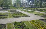 W Bydgoszczy jest jeden taki ogród, gdzie rośnie aż 200 gatunków roślin leczniczych i kosmetycznych. Można go zwiedzać!