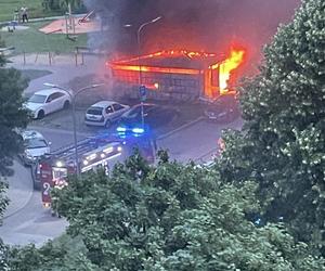 Przyjechali gasić wiatę, w środku były zwłoki. Makabryczne odkrycie na Bielanach