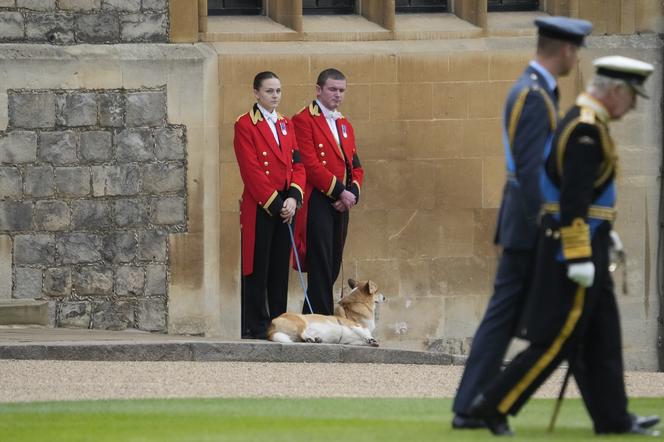 Ukochane corgi królowej były przy niej do końca. "Czuwały przy łożu śmierci"