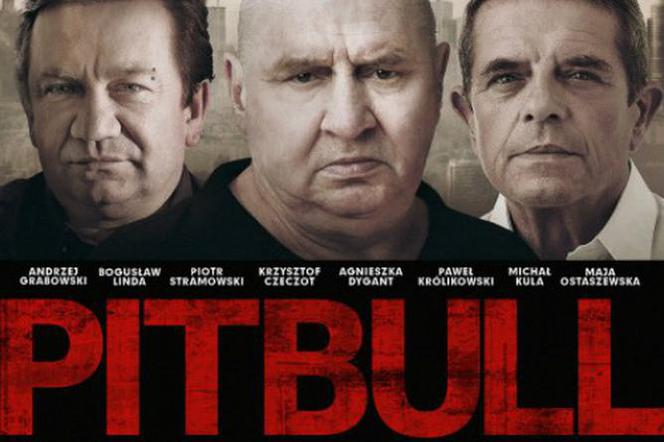 Pitbull będzie trylogią! Kiedy Pitbull 2 i Pitbull 3? Co wiadomo?