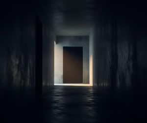 Brat zabił brata? Niewyobrażalny dramat w Woli Osowińskiej.