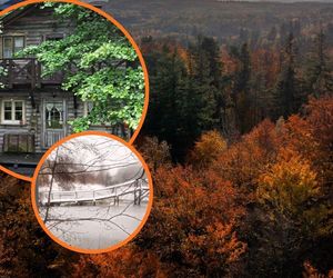 To nie AI, tylko Kaszuby. Ta osada to miejsce jak z dawnych baśni, a istnieje naprawdę