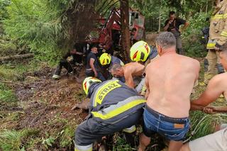 Heroiczna walka o życie pięciu koni