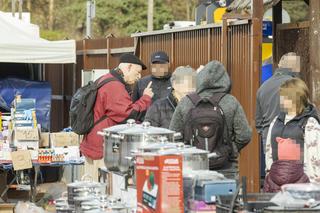 Korwin został gosposiem