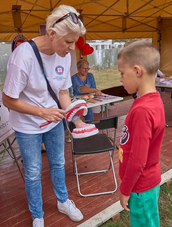 Siedlczanie chętnie korzystali z bezpłatnych badań, porad specjalistów i aktywności na świeżym powietrzu nad zalewem podczas "Pikniku dla serca"