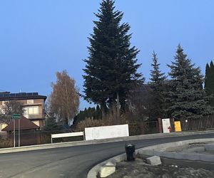 Pijana kobieta wjechała w latarnię. Mąż próbował wziąć winę na siebie