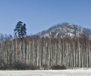 Ostrzyca Proboszczowicka, nazywana Śląską Fujiyamą