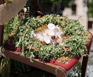 Weekend z florystyką w Lublinie. Zobacz imponujące roślinne instalacje w centrum miasta!