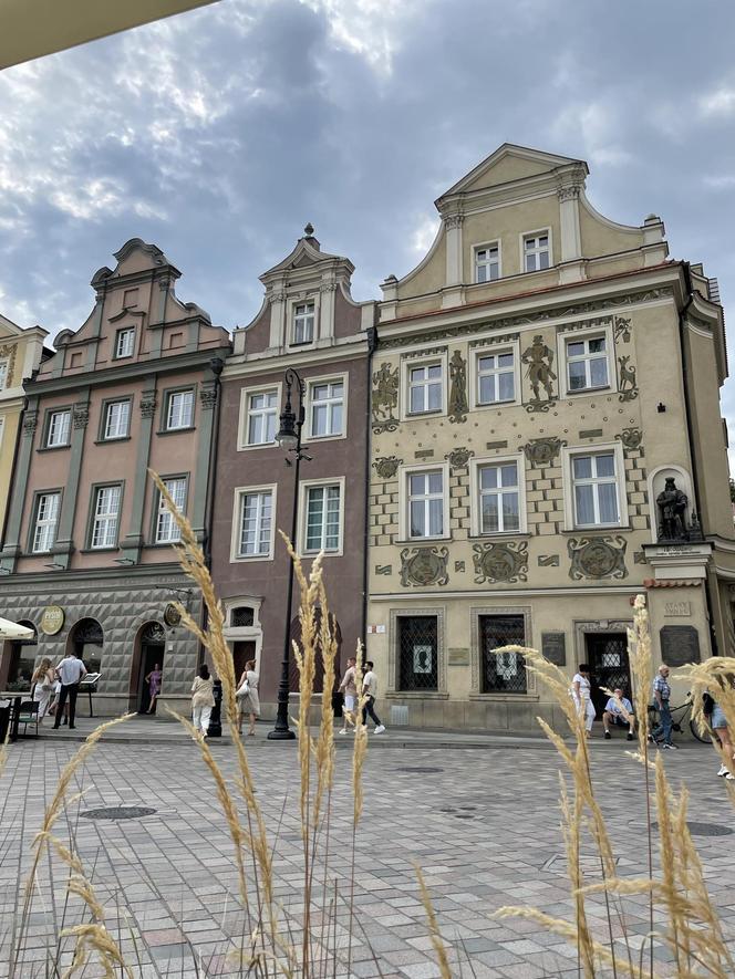 Tłumy na Starym Rynku. Tak poznaniacy spędzają letnie weekendy