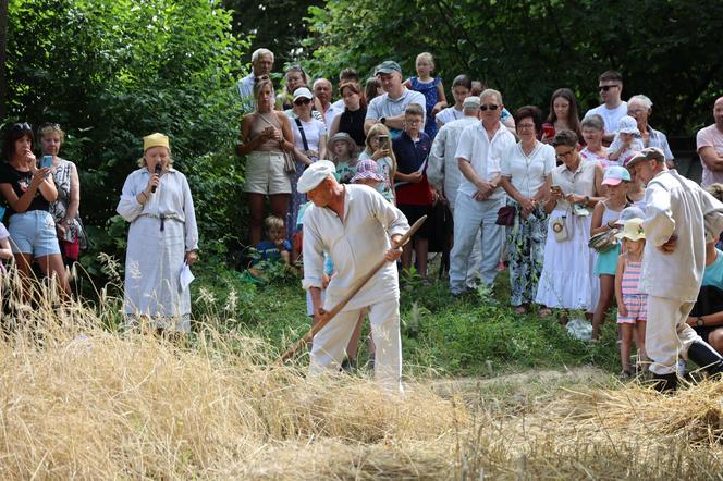 Tak wyglądało kiedyś żniwowanie na polskiej wsi