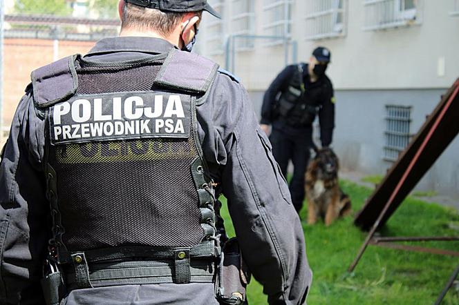 Psy patrolują, ścigają, zatrzymują – rasowi gliniarze