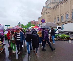 Kiermasz Pamiętajcie o ogrodach