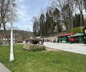 Krynica-Zdrój znów tętni życiem. Uzdrowisko przeżywa drugą młodość 