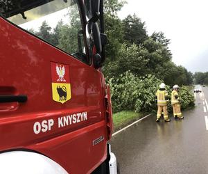 Podlaskie. Ponad 200 niedzielnych interwencji strażaków w związku z silnym wiatrem i burzami