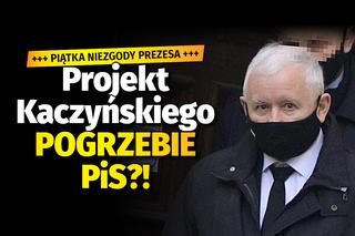 Sztandarowy projekt prezesa Kaczyńskiego pogrzebie PiS? Piątka niezgody
