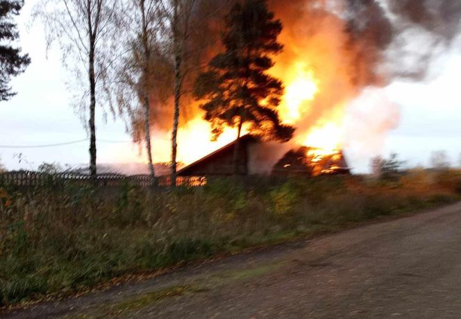 Pożar stajni w Częstochowie. Spłonęła całkowicie