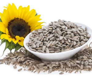 Pestki słonecznika - wartości odżywcze i właściwości lecznicze