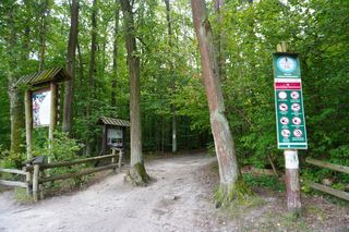 Las Kabacki w Warszawie