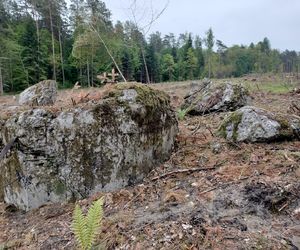 Niezwykłe znalezisko na trasie S17 w woj. lubelskim
