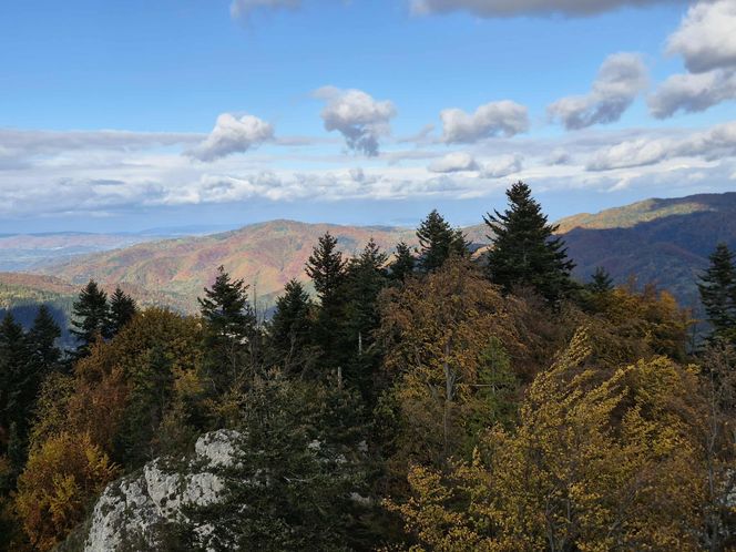 To jedno z najstarszych polskich uzdrowisk najpiękniej wygląda jesienią. Kurowali się w nim Sienkiewicz, Prus, Matejko i Konopnicka