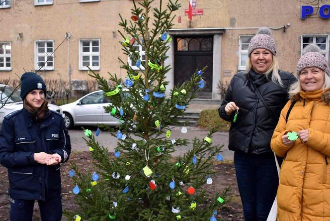 Pod Komendą Miejską Policji w Olsztynie stanęła oryginalna choinka. Każdy może ją "rozebrać" [ZDJĘCIA]