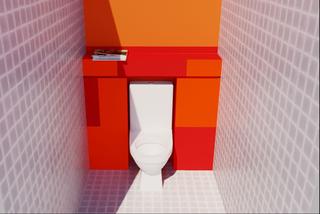 Zabudowa ściany wokół sedesu: schowki w toalecie