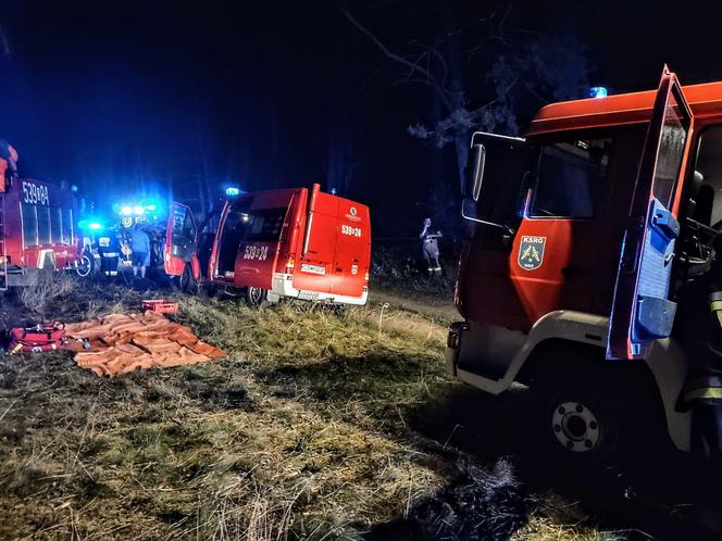 Pijany Damian uciekał przed policją aż wylądował na dachu! Zaskakujące fakty. W aucie było 6 dzieci [ZDJĘCIA]