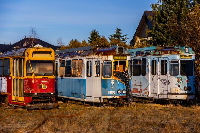 Zobacz kolekcję starych tramwajów w prywatnym ogrodzie - zdjęcia. Wagony stoją na działce w Warszawie