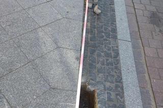 Bydgoszczanie marzą o roślinach wzdłuż ulicy, a drogowcy chcieli tam słupków. Jest reakcja na protest