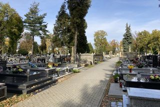 Wszystkich Świętych w Nowym Sączu. Specjalna linia MPK i duże zmiany dla kierowców